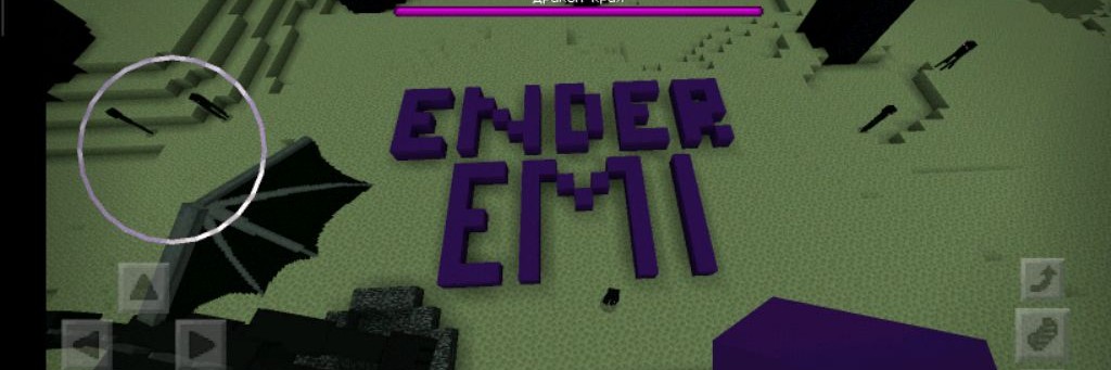 💜ENDER_EMI💜