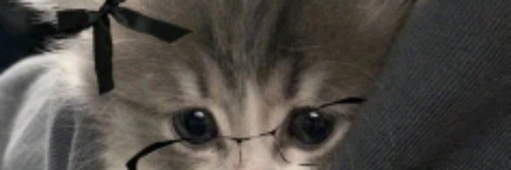 Котик Жмотик