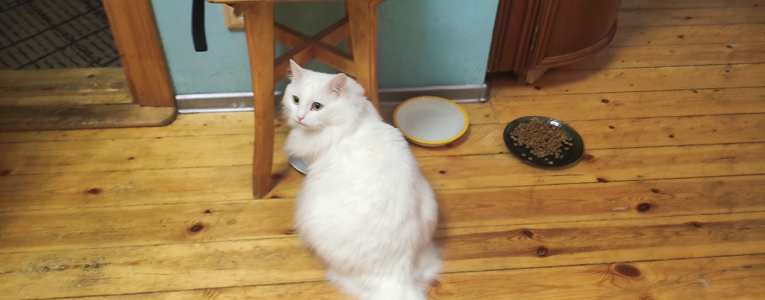 tim4nalim