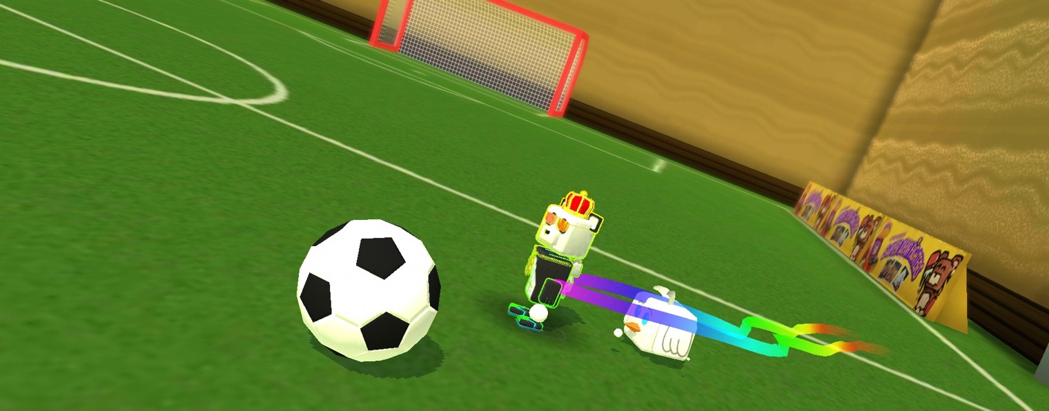 FC bear