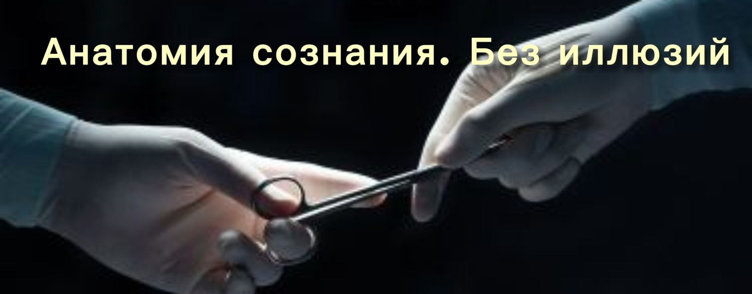 Скальпелем по душе
