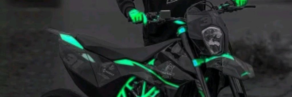 Автолюбителев Мотоциклистович Дружок