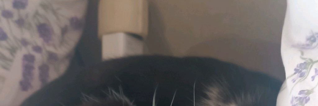 😈РИАННА😈 Подпишись Пж 🥺🥺🥺 Ради Котика