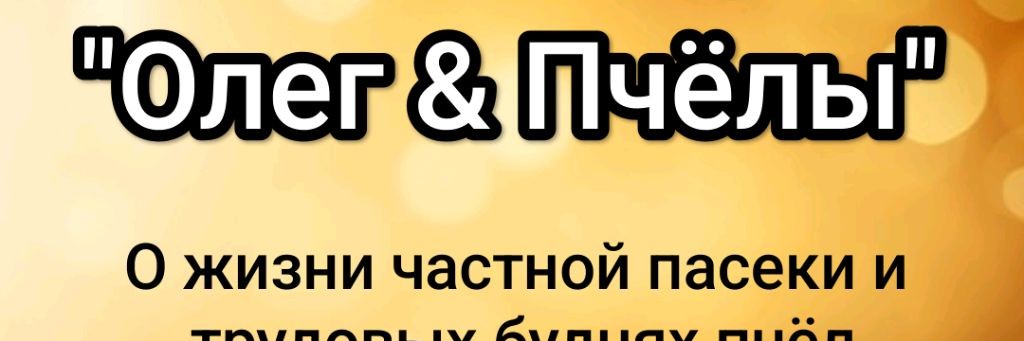 "Олег & Пчёлы"