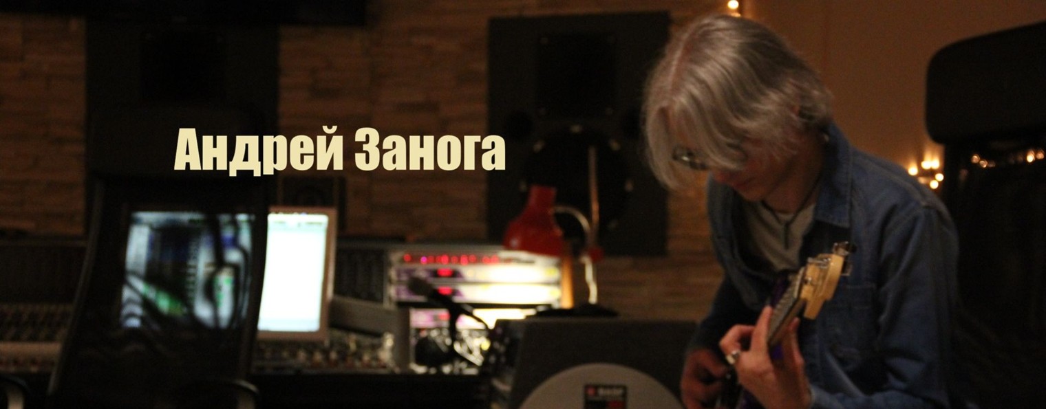 Андрей Занога