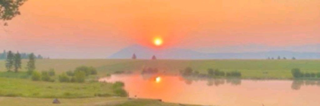 Таник_win- Аватар Ворлд