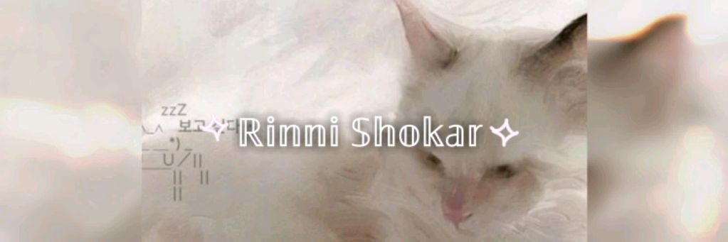 RINNI SHOKAR