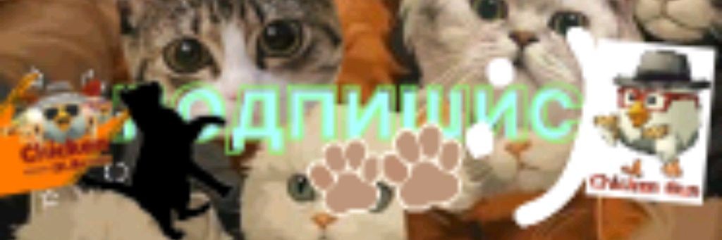 😺Басилий38к:) и ваня38к:)😺