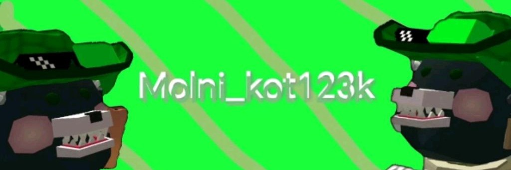 MOLNI_KOT123k