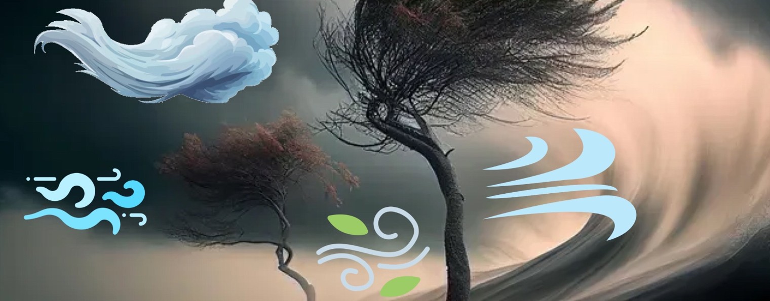 Wild - Wind
