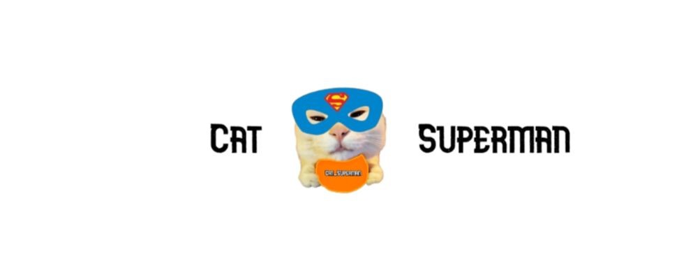 Cat_Superman🐾