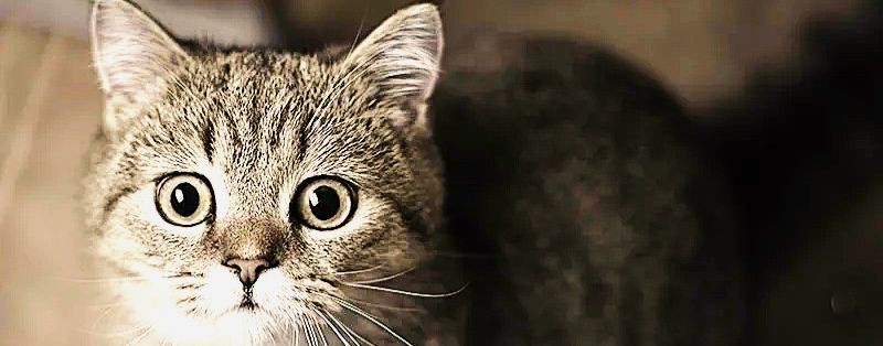 😸✝🖤ςἒ☯ɱå🖤✝😸