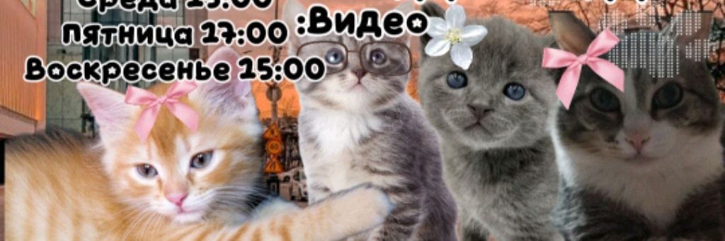 Маффки Лаффки