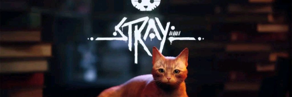 STRAY_fan_2011