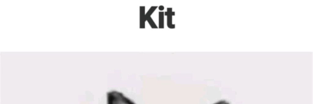 Kit228🫩