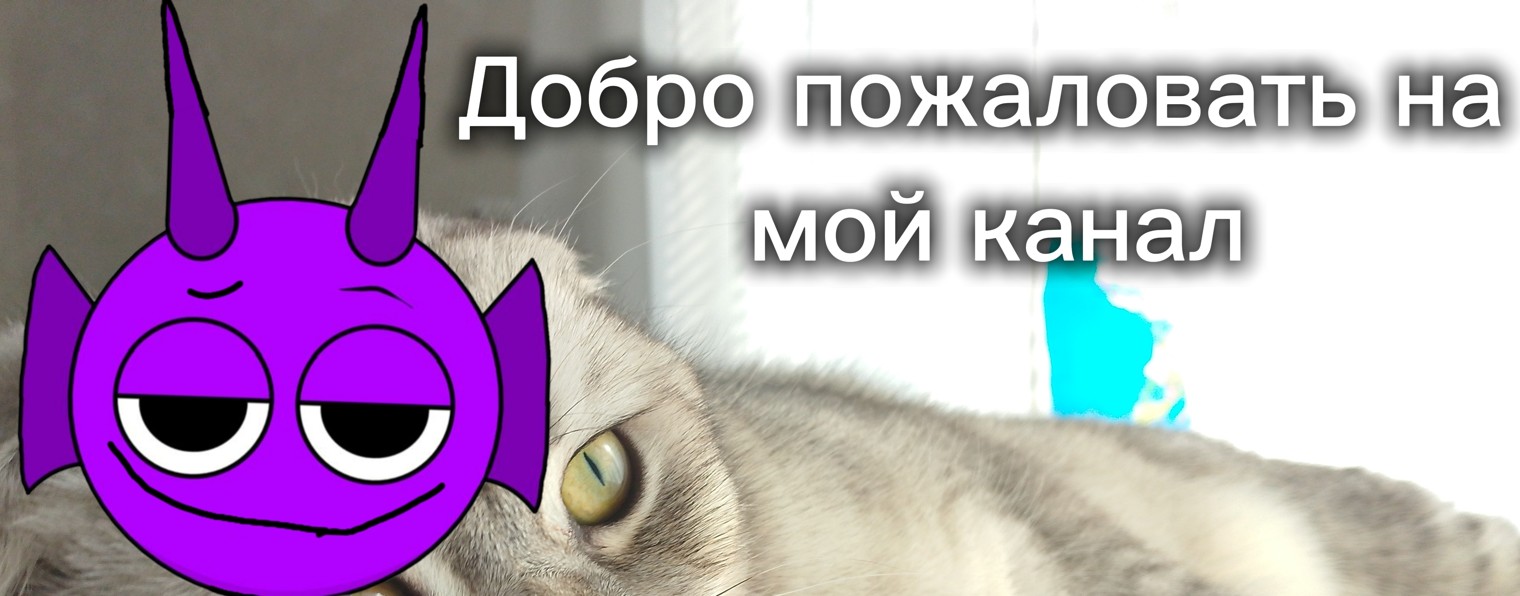 Майский 🔥 Mister Durple :3
