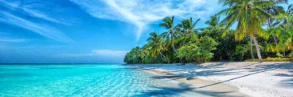 ❕🌴:"...𝐟𝐚𝐦𝐢𝐥𝐲 𝐌𝐢𝐚!!..."🌊:"🍸