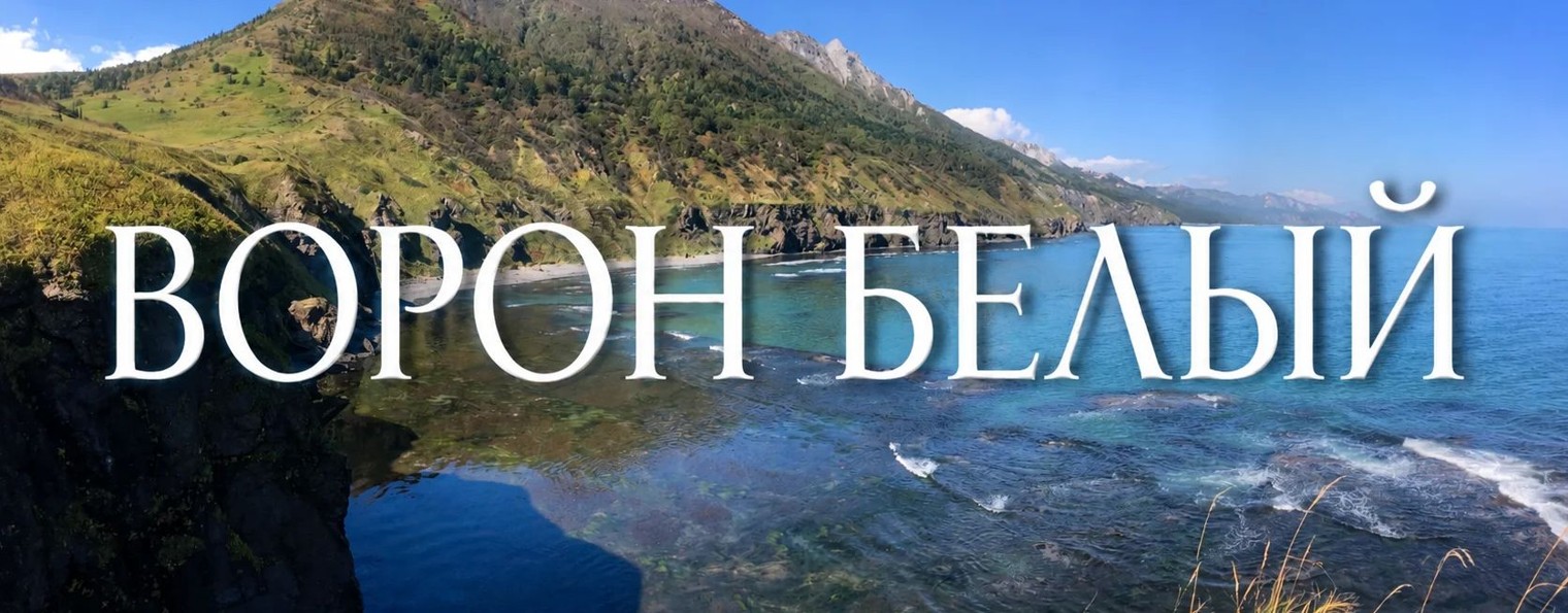 Ворон Белый