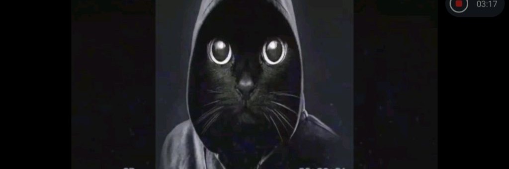 бембив Мсм 666619к games (666 666 666 666)