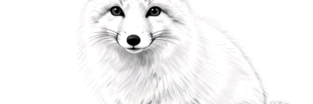 Snow Fox Animation Studios