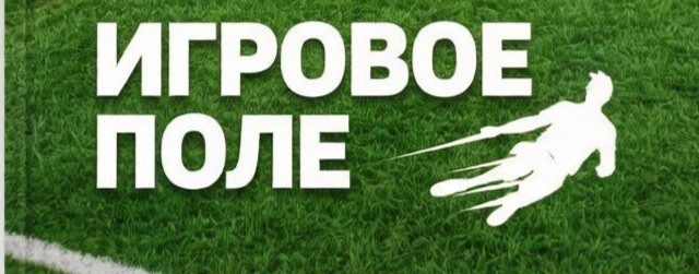 Игровое поле
