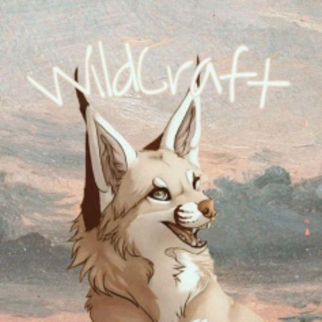 WildLoki