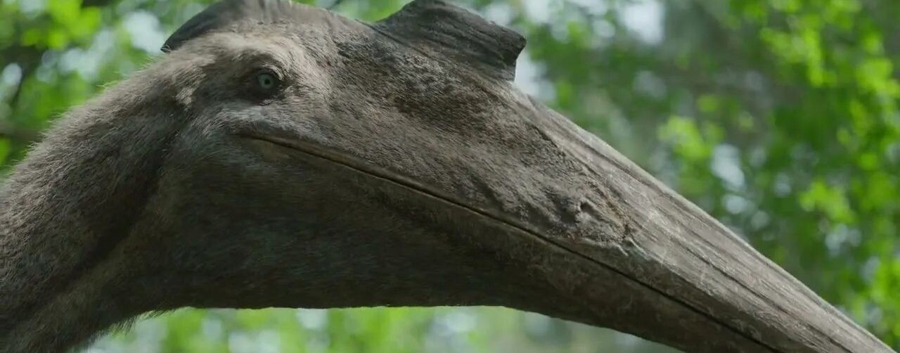 Марк The Cursed