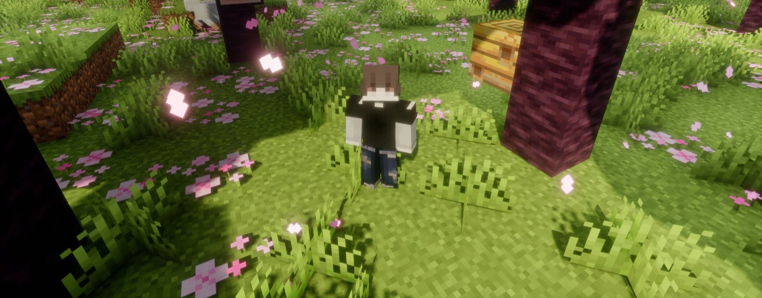 kapin_19_mine
