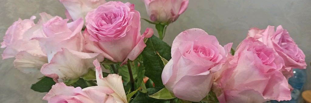 Елена Я там где лето.