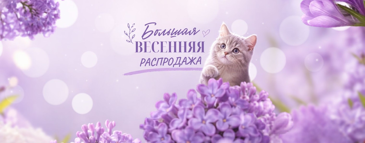 Студия живописи Ольги Базановой