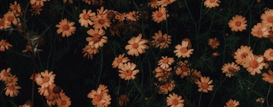 "🖤гача демон💔"
