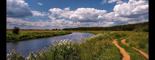Крутопесни по моим стихам!
