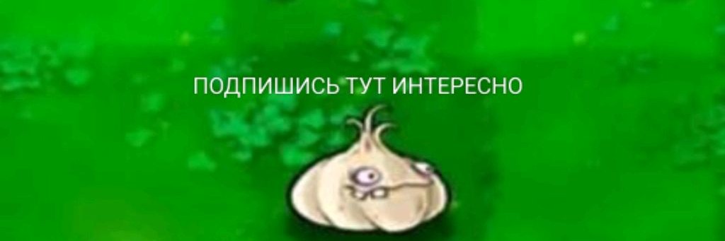 ✞ЧЕС✞