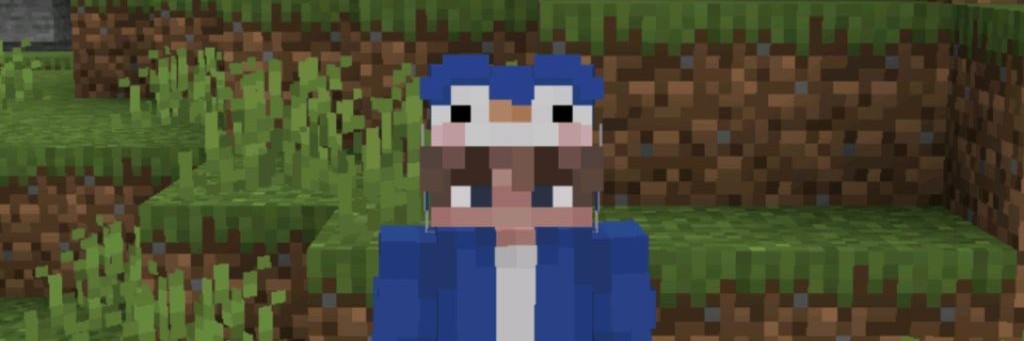 PINGVIN/YT