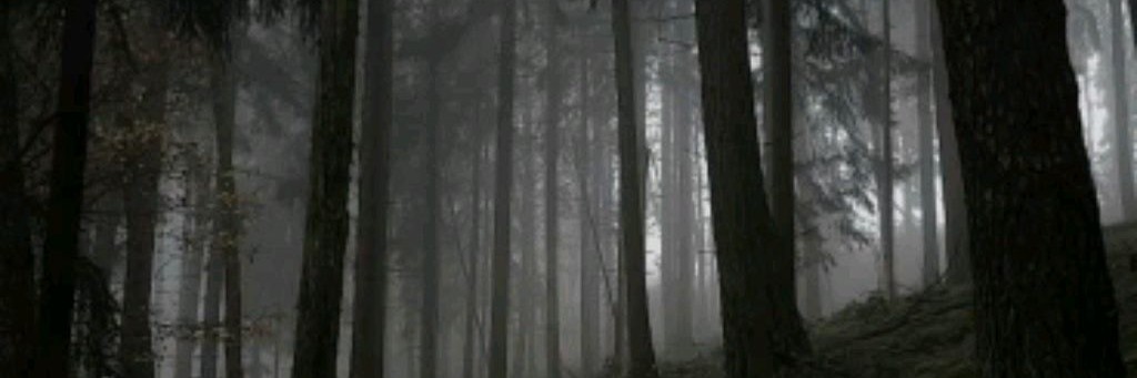 Grey fog/серый Туман
