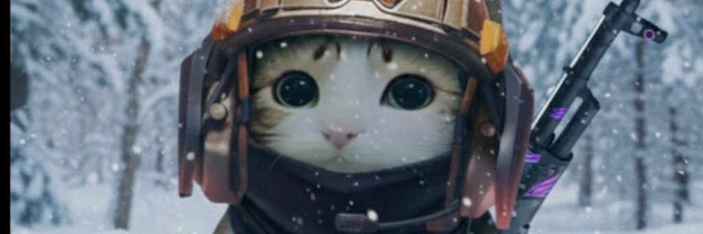 КОТОХА