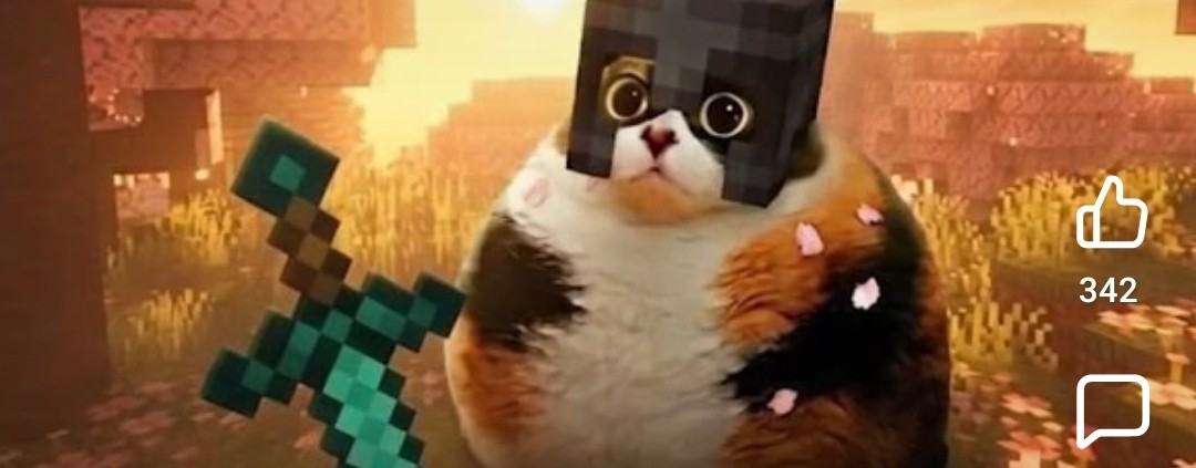 Котость