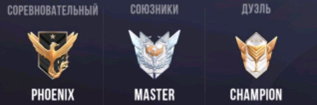248636168