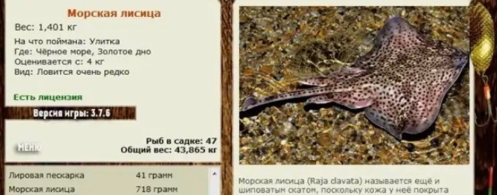 Матвей и рыбалка