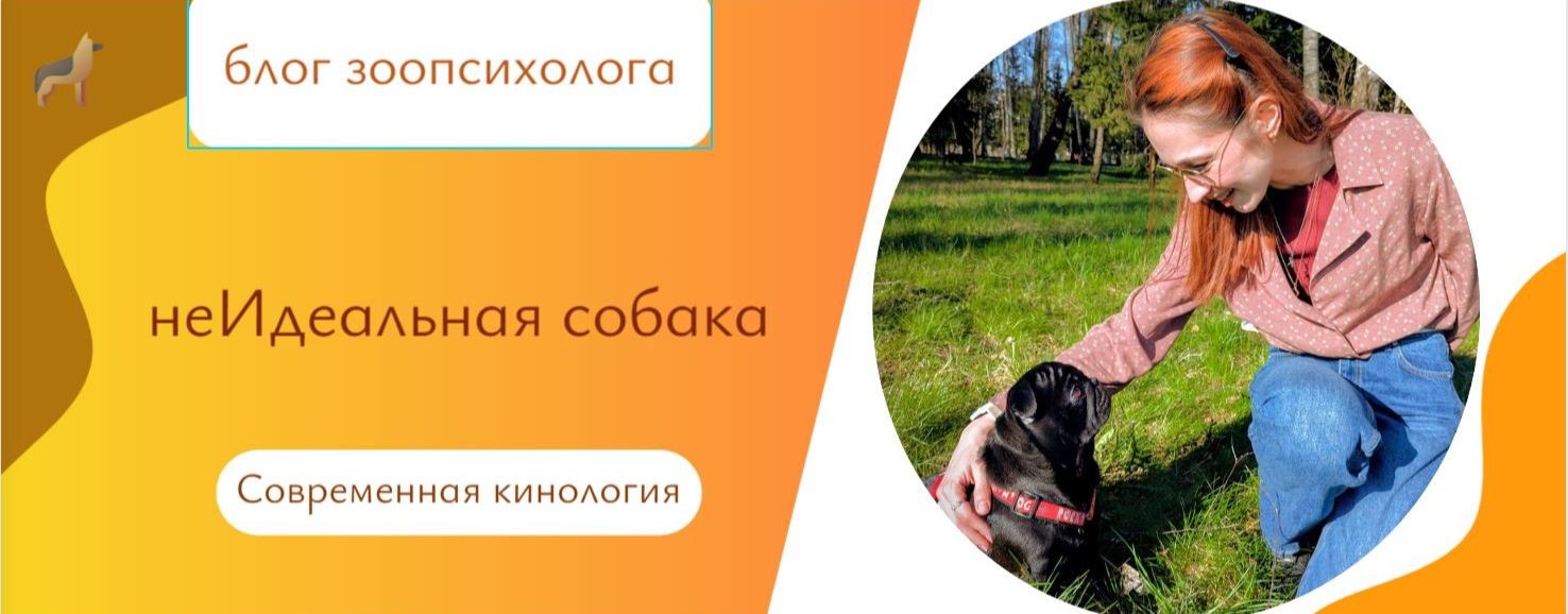 неИдеальная собака | Блог зоопсихолога