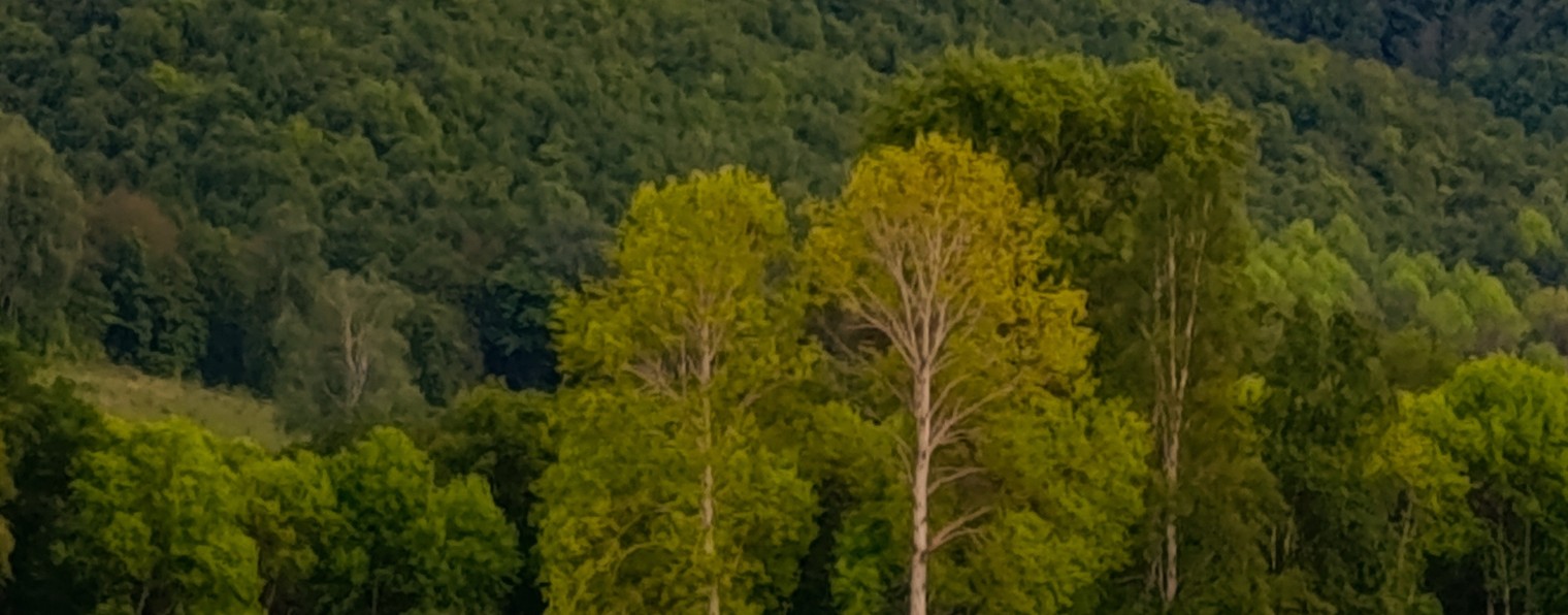 Красивая природа 🌿🍃