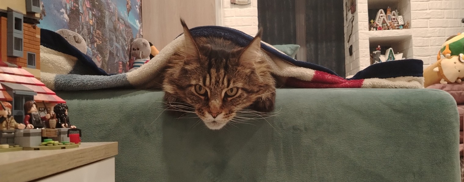 Матвей и кот