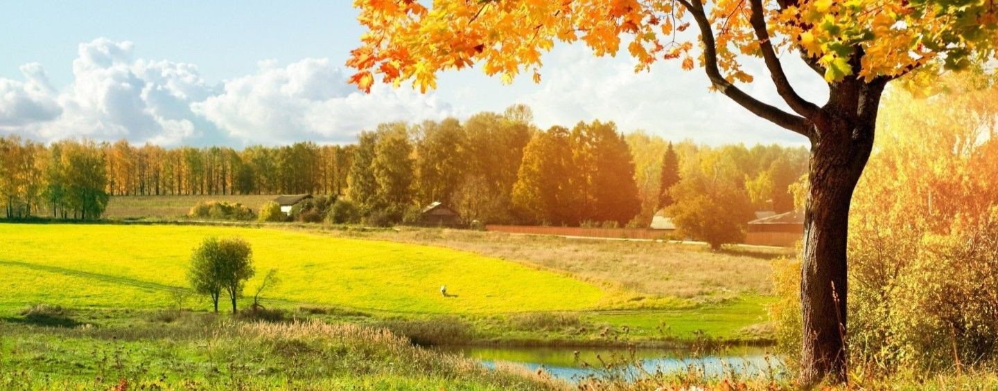 Сократ