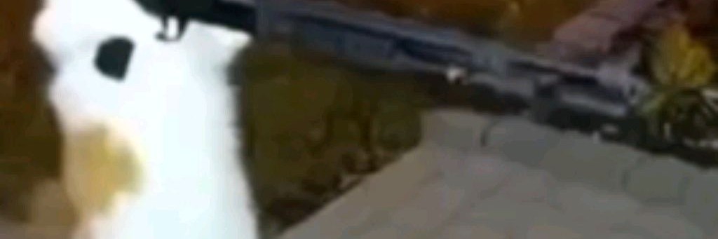 channel75519892