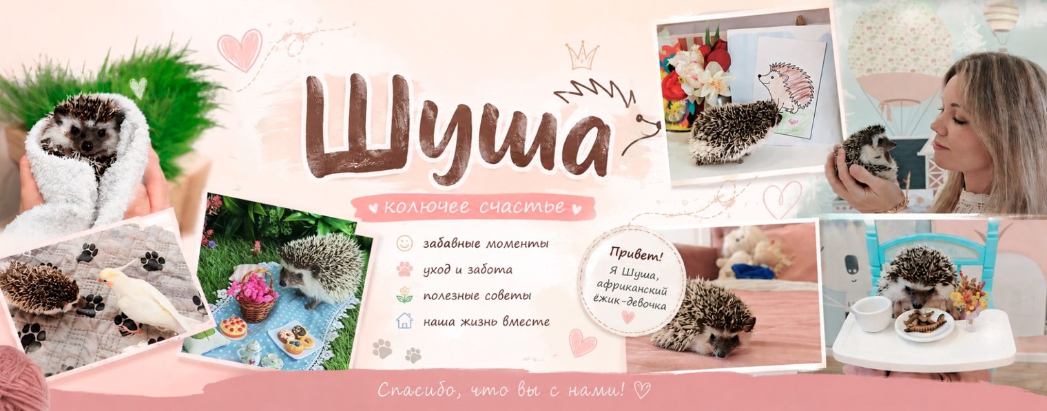 Ёжик Шуша