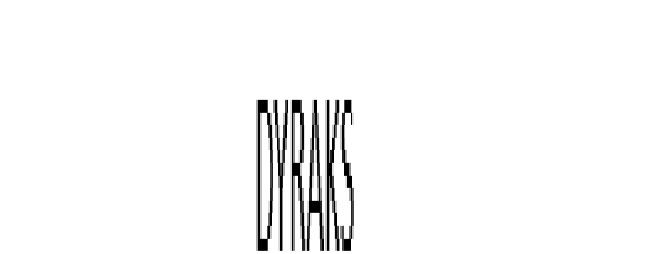 DYRAKS (Official)