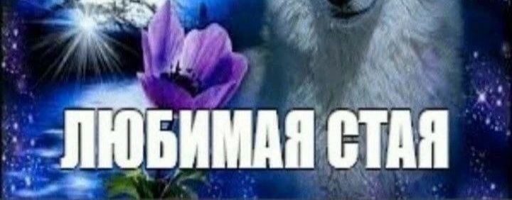 Басики