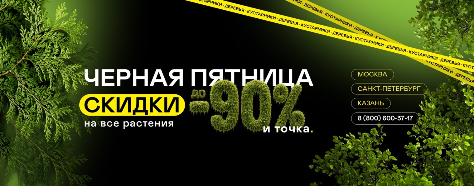 pitomnikecoplant
