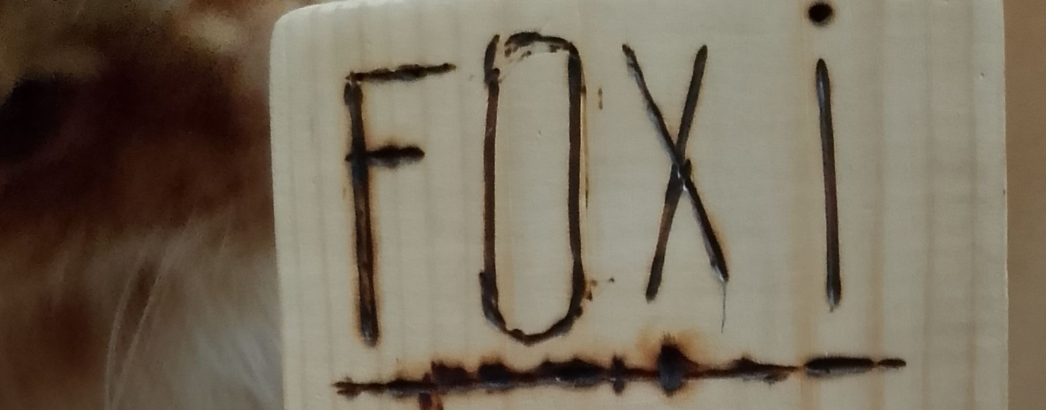 Foxi
