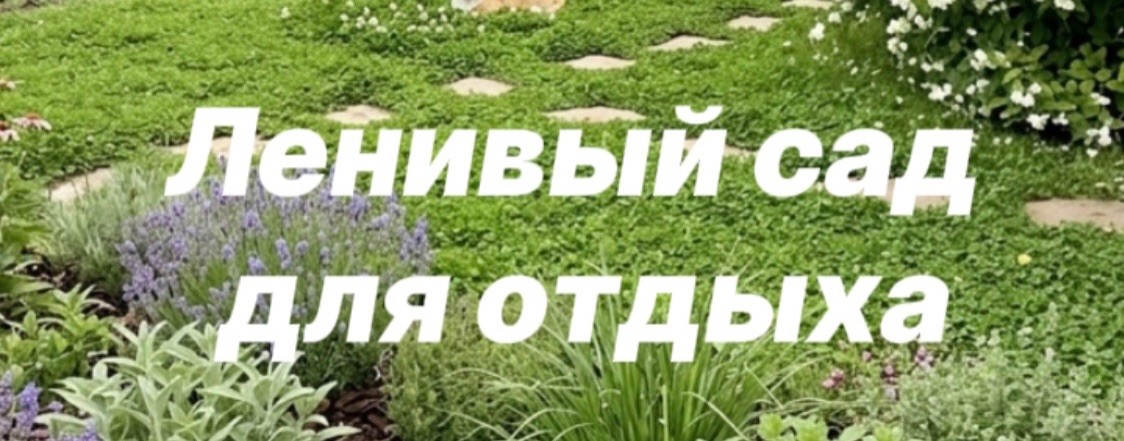 Ленивый сад